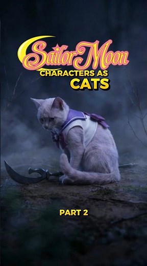 SAILOR MOON Characters as CATS, Part 2 🐱✨#shorts #sailormoon #anime #cat #viral