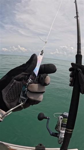 Out wide jigging and tied on the 100g Malosi Marksman in silver 🎣 Got absolutely smoked mid-water by a big queenie 💥 Drag screaming and proper runs around the boat. Measured up at 92cm full length / 82cm fork length solid fish and unreal fight on the jig. Silver doing the damage again 👊 #Queenfish #JiggingLife #MalosiMarksman #NTFishing #SaltwaterAction