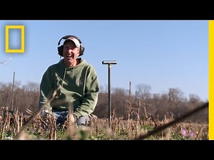 Gold Gilt Button | Diggers