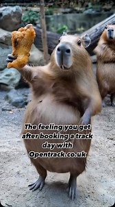 Book a track day direct at Opentrack.co.uk we have the largest circuit choice of any Uk based track day organiser.#opentracktrackdays #trackday #carsofinstagram #tracktime #trackaddict #porsche #trackdaycar #trackstormers #cars #bmw #angleseycircuit #bedfordautodrome #cadwellpark #doningtonpark #spafrancorchamps #brandshatch #castlecombe #zandvoort #knockhill #monza #nordschleife #snetterton #oultonpark #thruxton | Dave Woodall