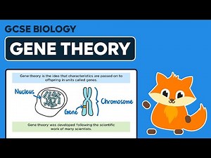 Gene Theory - GCSE Biology