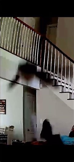 Ceiling fan falls down #ceilingfan #ceilingfanfails #shorts