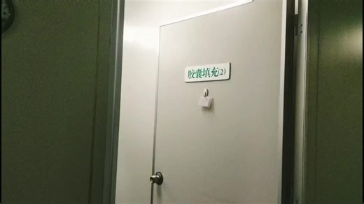 OEM/ODM  Organic Dried African Mango Extract 500mg African Mango Extract Powder African Mango Extract Capsules