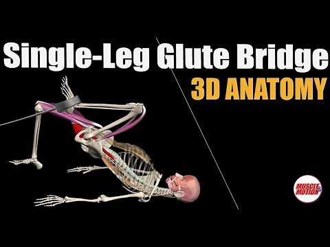 Single-Leg Glute Bridge with Hip Flexion