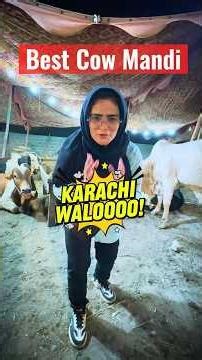Maweshi mandi | Cow Mandi | qurbani k janwar | Karachi mandi update 2026