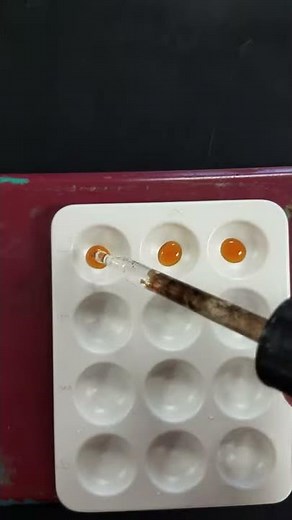 A&P II Lab 20 Part 2a Paternity Testing