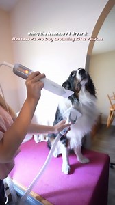 Neakasa released their F1 dryer and it is SO nice! We set up our...