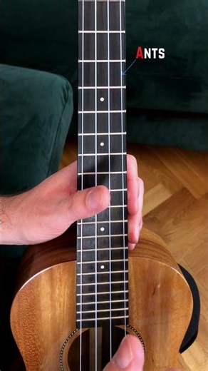 Ukulele String Names