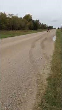 2003 Honda TRX 400EX top speed