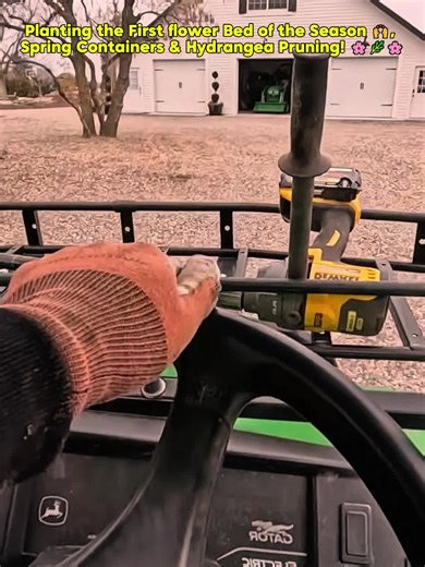 Spring Flower Bed Planting and Hydrangea Care Tips