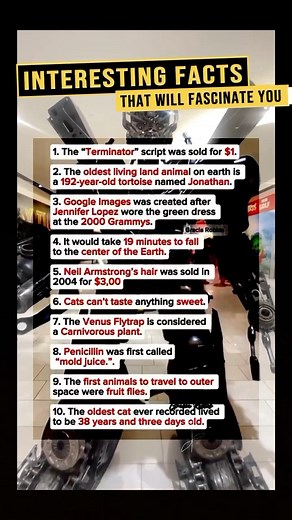 The $1 Terminator script and the JLo dress that launched Google Images. 🤯 Sometimes, the smallest things make the biggest history. The story behind the green Versace dress Jennifer Lopez wore to the 2000 Grammys is legendary. People searched for the image so much that Google realized they needed a better way to index and display photos, leading to Google Images! Plus, fact #6 about cats is just unfair. #InterestingFacts #DidYouKnow #MindBlow #Facts #FunFact #Trivia #KnowledgeIsPower #Terminator