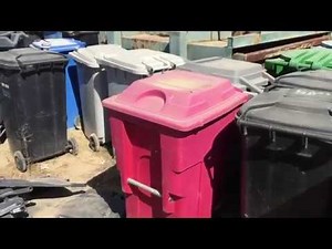 The Bone Yard Cart Yard