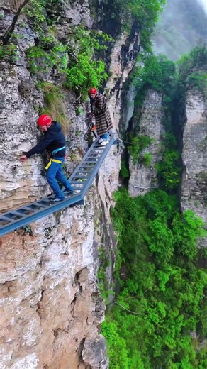 Heart oriented towards green mountains, why fear the distance