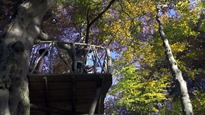 Wild Carpathia by Media & Entertainment - Dailymotion