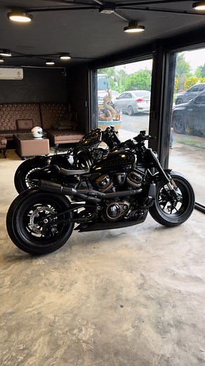 2022 Harley Davidson 1250 Sportster Overview