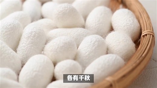 从纤维到用途：全面解析桑蚕丝和柞蚕丝的差异
