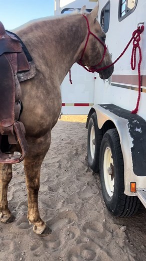 Alex Acosta horses (@alexacostahorses)’s videos with Beautiful World - Kenny Chesney