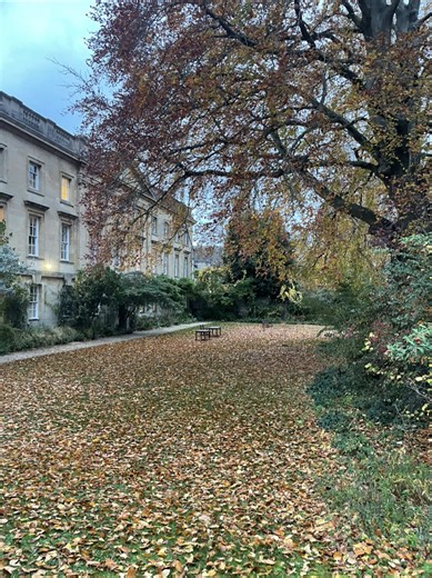 introducing koios education. an independent consultancy led by students. launching jan 26 #ucas #oxbridge #universityapplication #collegeadmission