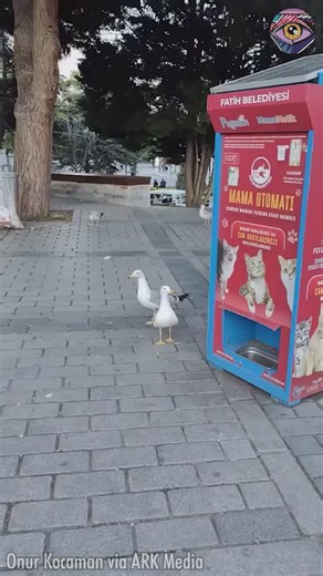 984K views · 13K reactions | Oh boy, that is SMART | Now I've Seen Everything | Facebook