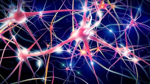 Scientists May Have Implanted An Artificial Vision Into The Brain Of A Mouse