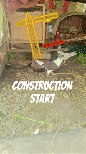 I am making pigeon setup again inshAllah ❤ #beatmaker #drummachine #beatstep #sequencer #quickbeats