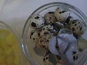 Quail egg cutter in use