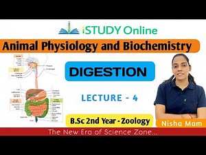 Digestion | lect-4 | Animal Physiology and Biochemistry | Zoology | B.Sc 2nd Year | iSTUDY Online