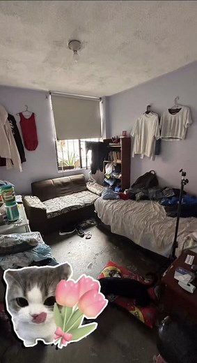 Remodelando mi cuarto: resultados y próximas actualizaciones