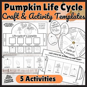 Pumpkin Plant Life Cycle Activity Pack | Fall Worksheets & Autumn Crafts