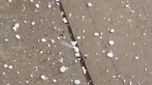 Thunderstorms dump large hail on western Wisconsin