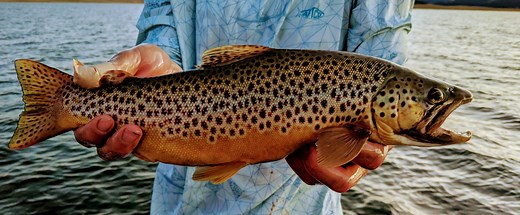 Antero Reservoir | Breckenridge - Big Ed’s Fishing Ventures