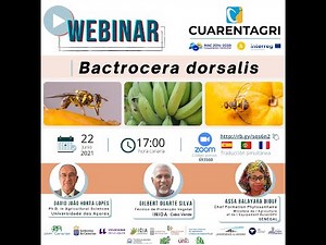Webinar "Bactrocera dorsalis"