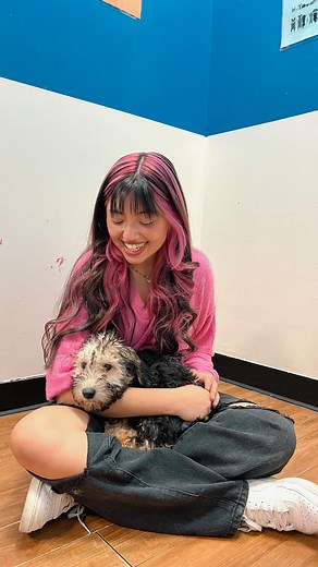 miranda rae ✮⋆˙ on Instagram: "adopting a puppy behind my parents back 😄‼️🧍🏻‍♀️ lmk if y’all want me to post a PART 2 of my parents reaction 😳 ALSO, I am very experienced in dogs and dog training (I have a service dog and i trained her myself) so I knew I could handle a puppy ✨"