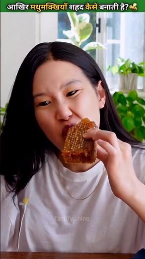 How bees make honey? Full process of making honey by bees