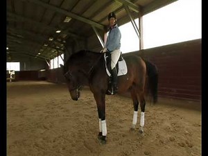 EP# 20 - The use 0f the dressage whip