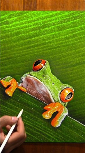 Red eyes frog on paper #drawing