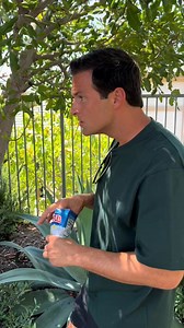 Living breathing things #fyp | Dateirghtstuff