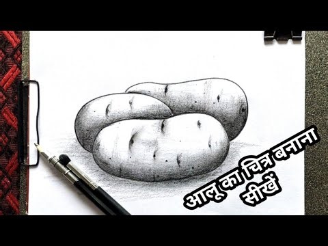 Potato drawing for beginners | How to draw a potato step by step | Pencil drawing #potato