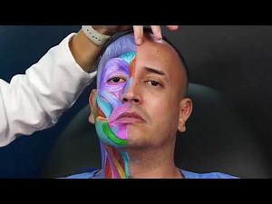 Update: Anatomy and Botulinum toxin application points 💉