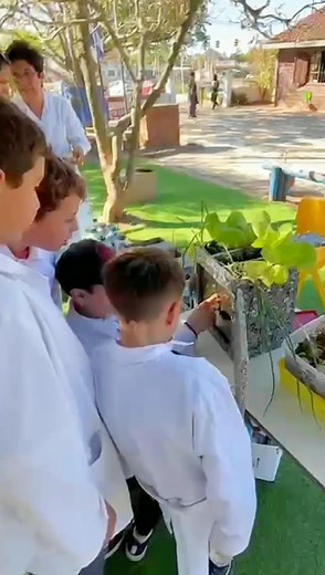 La educación transformará al mundo en un lugar mejor ! Aquí les mostramos un resumen de nuestros talleres de reciclaje en escuelas durante el 2022. Contanos qué te parece !!! 😊🙏💚🌎🇺🇾 #educacionambiental #construimoslimpiando #urusu #2023 #ecologia #reciclaje #comphuerta #economiacircular #uruguay #compostera #recycled #CapCut