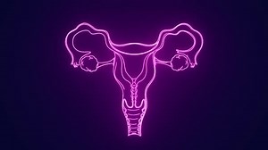 Animación del sistema reproductor femenino en la anatomía del cuerpo humano