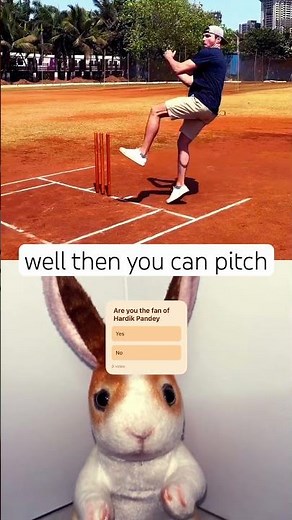 Mark Rober vs Cricket's Greatest Ever!