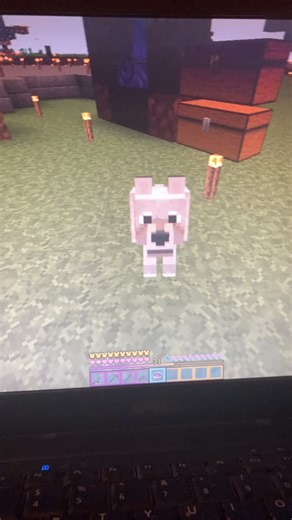 Join me on BlueMoonNetwork (1.7-1.6.4 Java) BlueMoonNetwork.us.to - #Fyp #minecraft #mc #mcserver #admin #foryou #xyzbca #dog #hypemeup #Wishlist