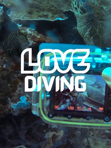 Exploring the Diverse Marine Ecosystem of the Philippines