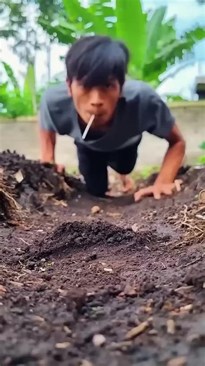 How to Make Cotton Candy Flowers: A Sweet Delight