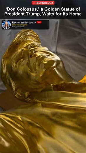 forexyy.com on Instagram: "Breaking news, a golden statue of President Trump is set to make its grand debut. Dubbed 'Don Colossus,' the 20-foot monument was funded by cryptocurrency investors backing a memecoin, hoping to score a prime location at one of Trump's Florida golf courses. The installation's fate remains uncertain, will it finally find its forever home? 📰 Read more: https://www.nytimes.com/2026/02/03/technology/trump-statue-don-colossus.html #technology #news #breakingnews #trending 