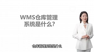 WMS系统介绍