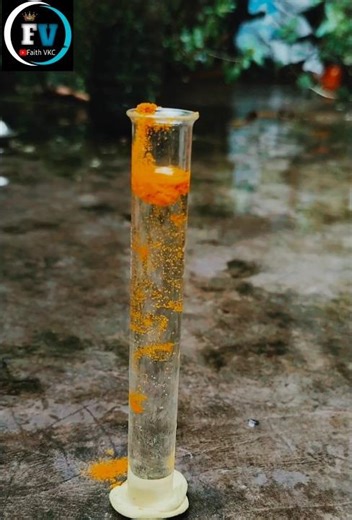 Viral Science Experiment 🧪