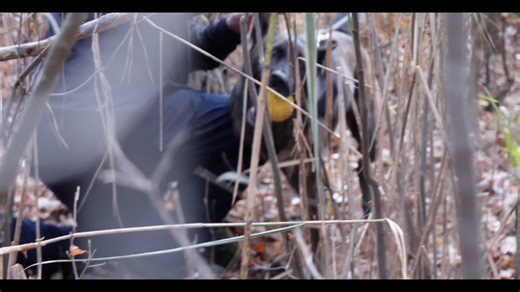 From K9 operations to meticulous investigations, view behind the scenes at the New Jersey Transit Police Department! Part 5 of our video series highlights the K9 Unit and Investigations Bureau. Watch NOW! | NJ TRANSIT POLICE