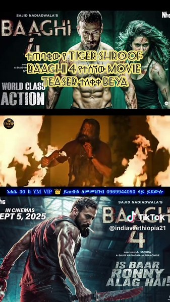 Baaghi 4: Tiger Shroff's Epic Fight Scene